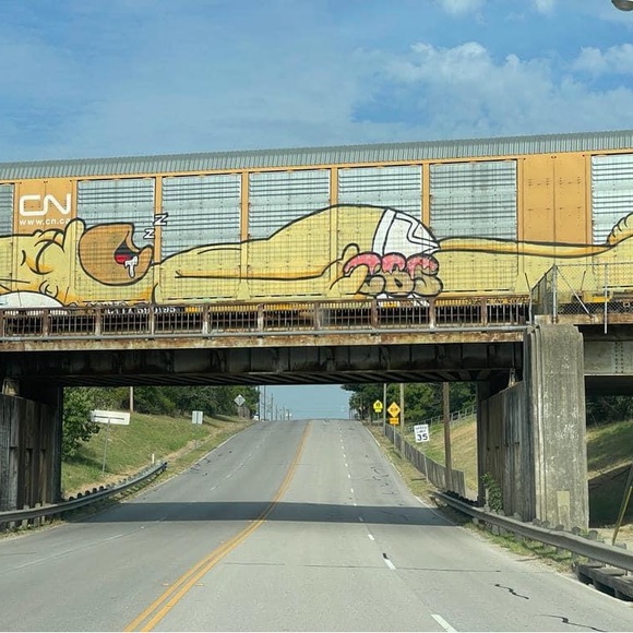 Meet your Posher, Malcolm - Picture 1 of 1